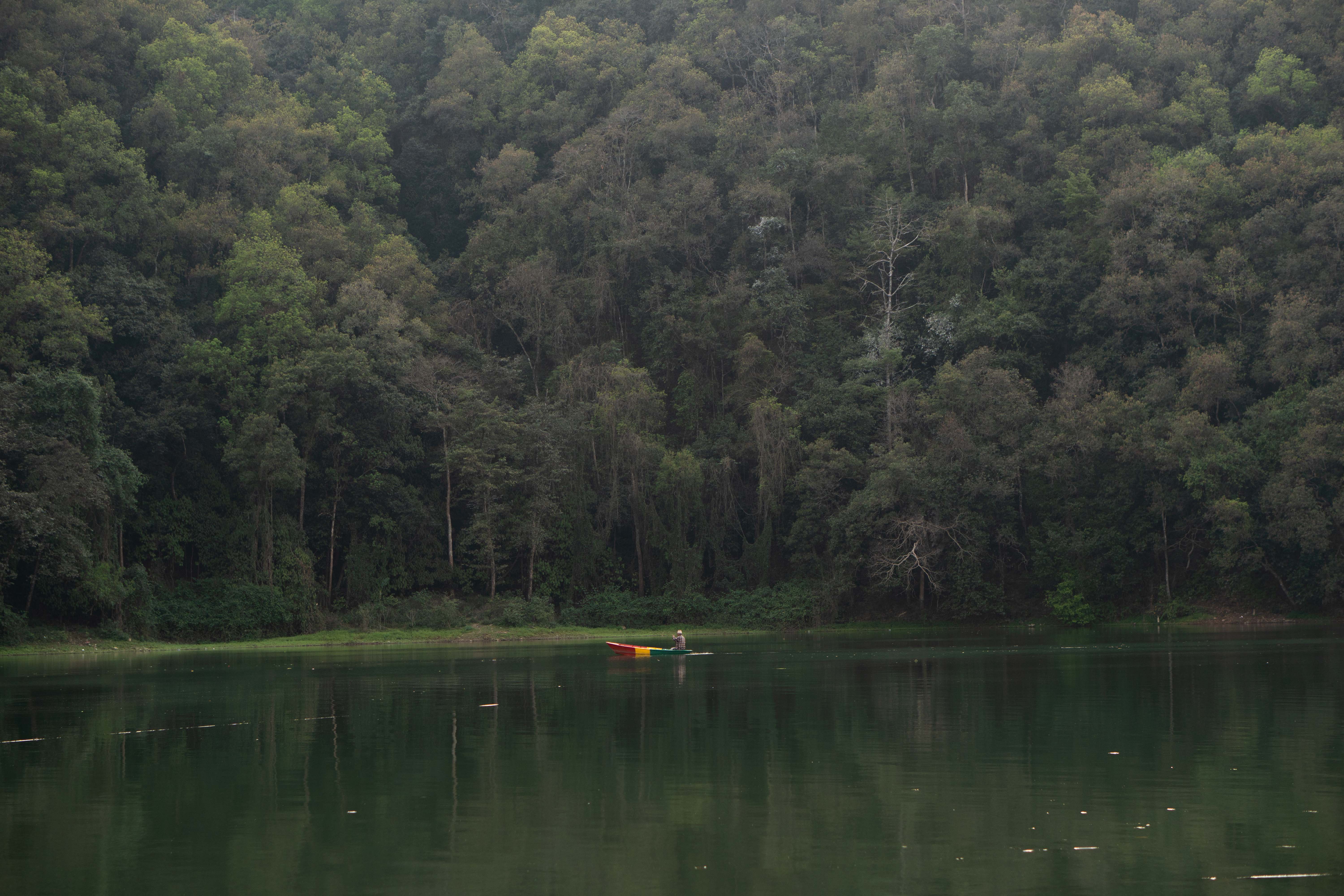 jungle gandali (3).jpg